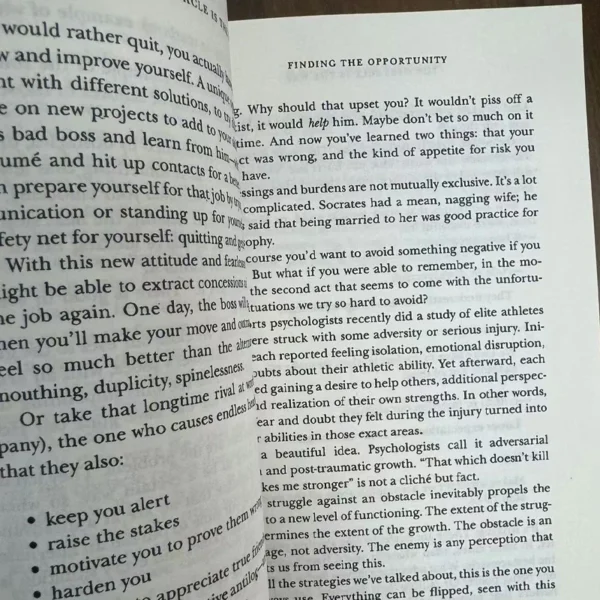 The Obstacle Is The Way The Ancient Art of Turning Adversity To Advantage By Ryan Holiday - Image 2
