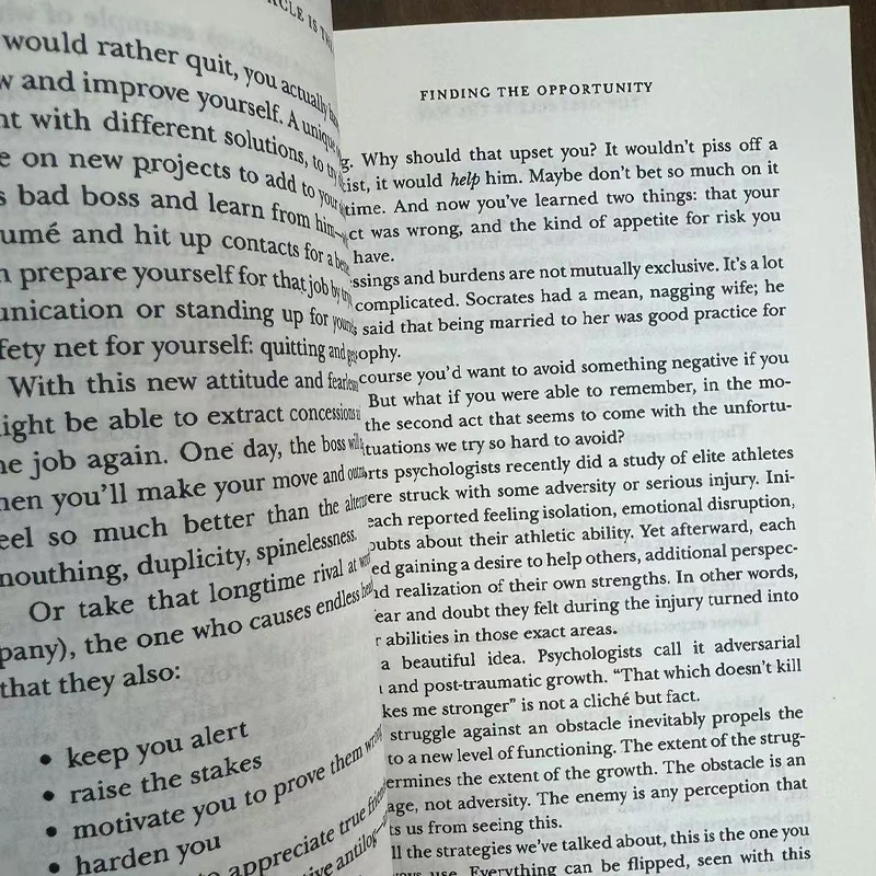 The Obstacle Is The Way The Ancient Art of Turning Adversity To Advantage By Ryan Holiday - Image 2