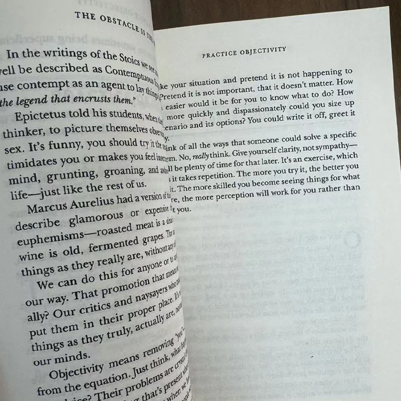 The Obstacle Is The Way The Ancient Art of Turning Adversity To Advantage By Ryan Holiday - Image 5