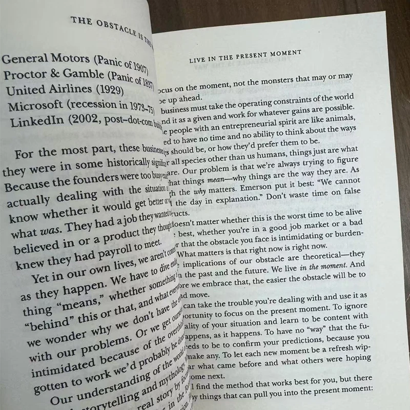 The Obstacle Is The Way The Ancient Art of Turning Adversity To Advantage By Ryan Holiday - Image 3