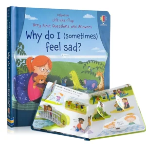 Why Do I Sometimes Feel Sad? – Usborne Lift-the-Flap Book