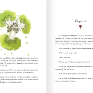 The Little Prince by Antoine de Saint-Exupéry | Classic Tale of Imagination & Wisdom - Image 6